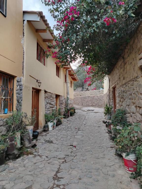 Nicolasa Wasi, San Antonio