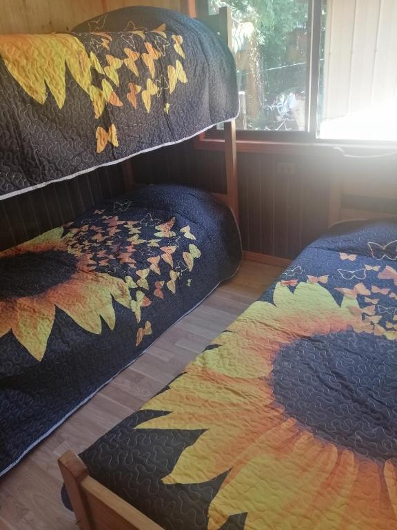 Cabañas martini coñaripe - 2