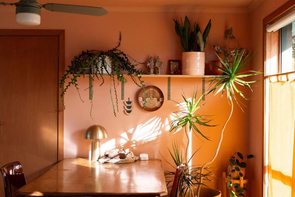 Sunshine Apartment at La Casa Cubo, Torquay