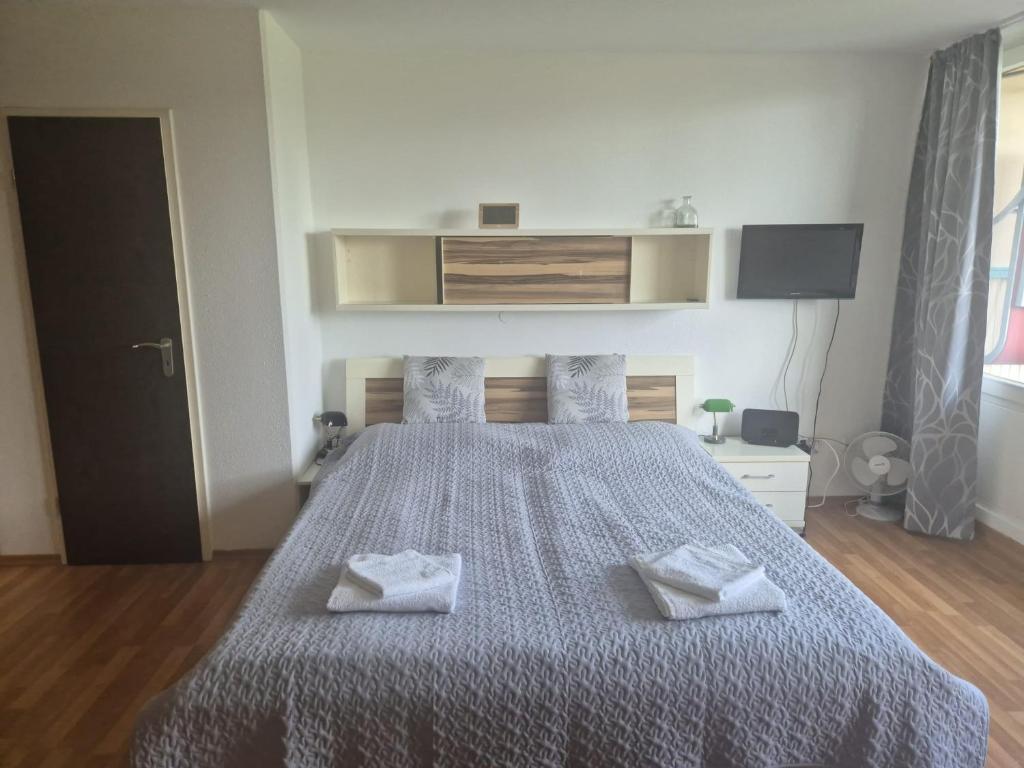 1-Zimmer-Apartment mit Balkon, kostenloser Schwimmbadnutzung und Blick ins Grüne - 4