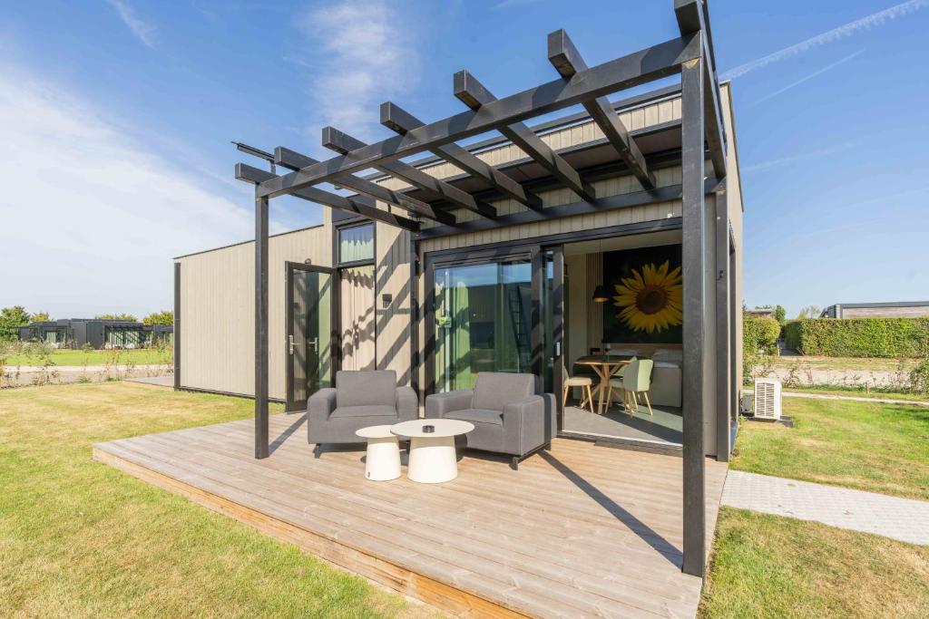 Ảnh 5
