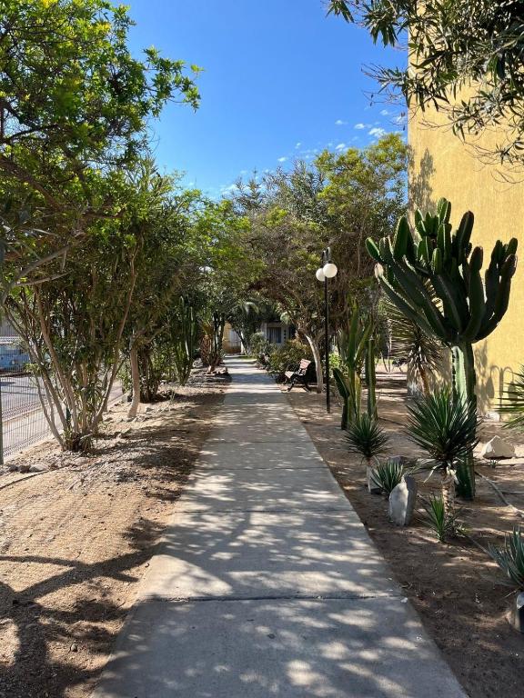 Arriendo por días condominio Arica - 2