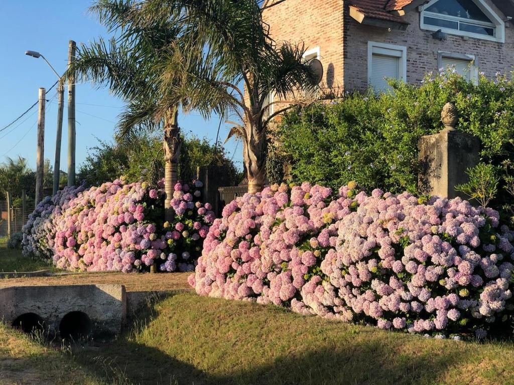 A media cuadra del mar, entre Manantiales y José Ignacio - 1