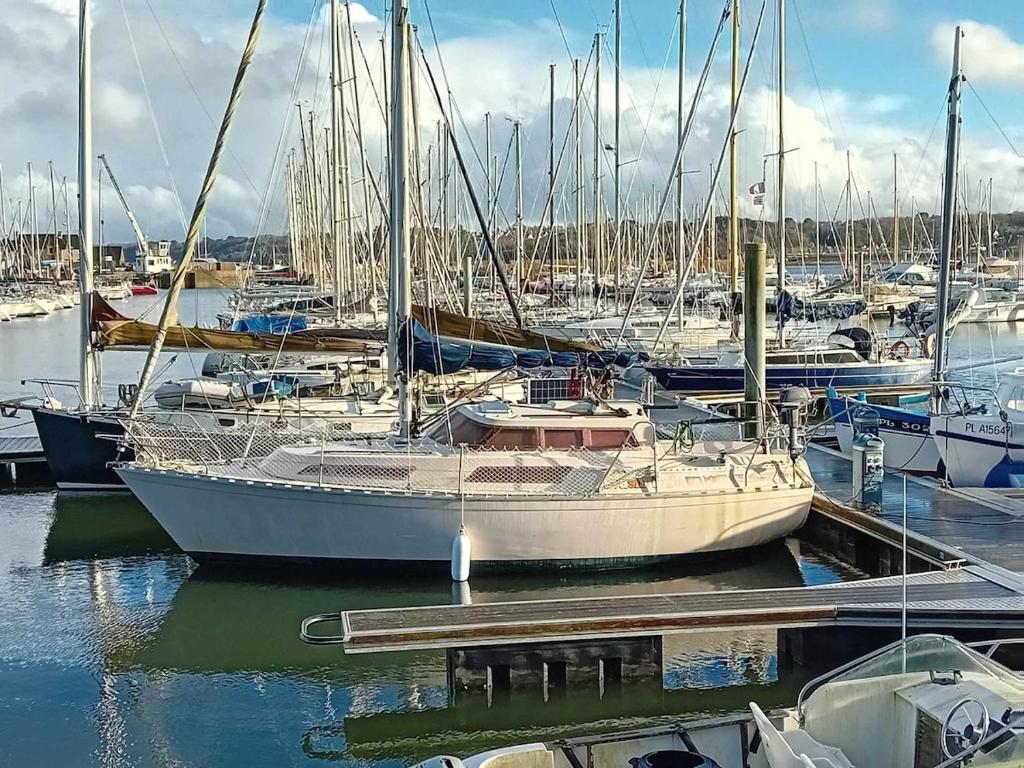 Bateau au port de Perros-Guirec - 1