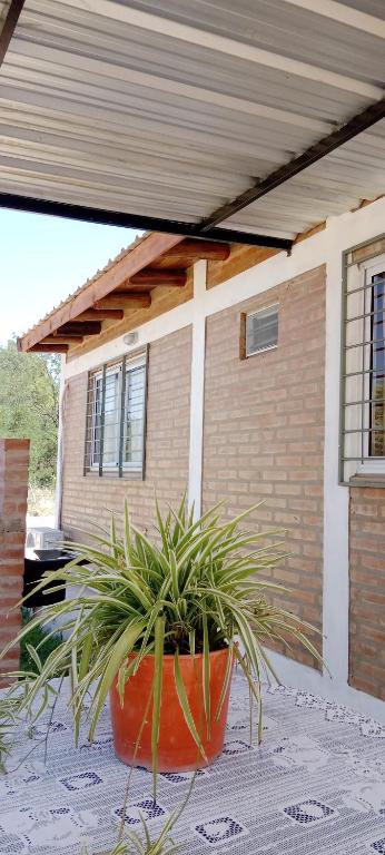 Cabañas doña chiche - 5