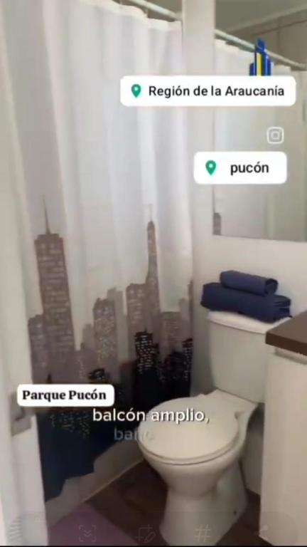 Condominio Parque Pucón - 1