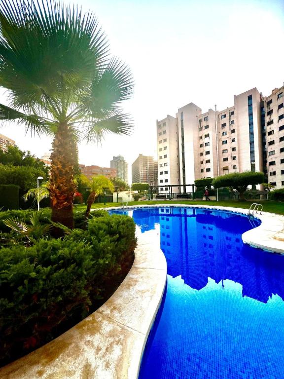 Beautiful apartment in Benidorm Bay, Benidorm