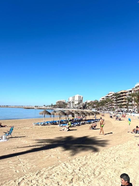 Big one bedroom apartment next to beach. - 1
