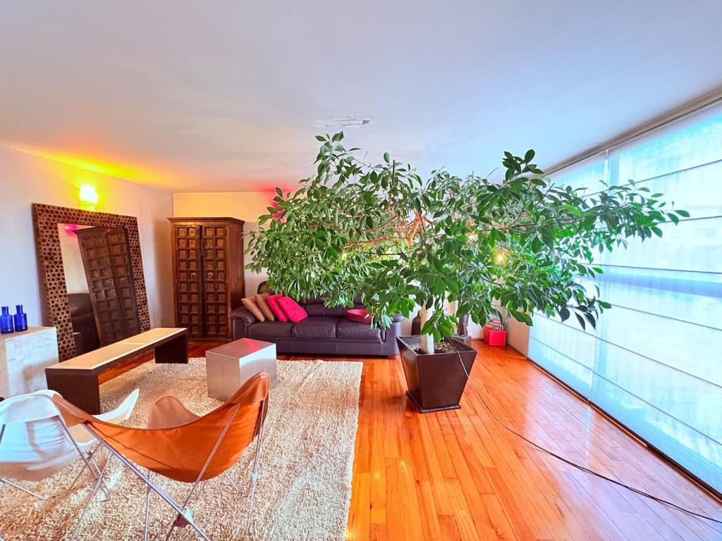 Treehouse-Inspired Apt near Angel 6 Guests Parking, Mexiko