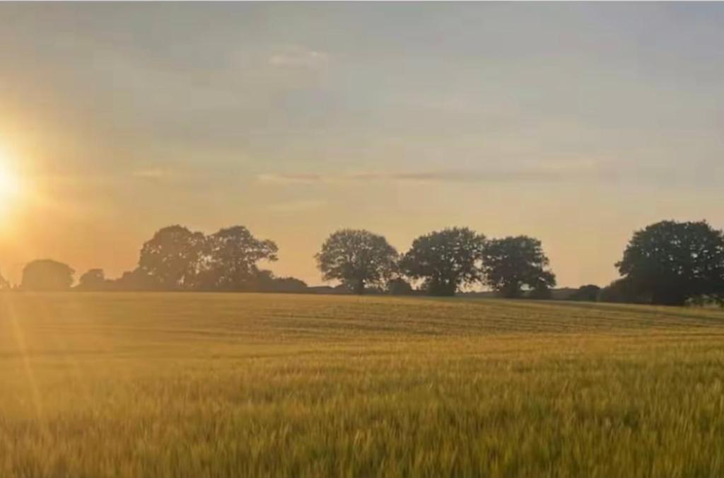 Tranquil detached barns in Sherborne St John, Sherborne Saint John