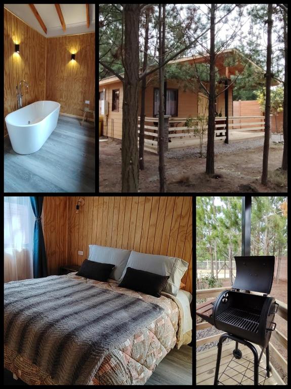 Cabaña Pinos del Mar - 2