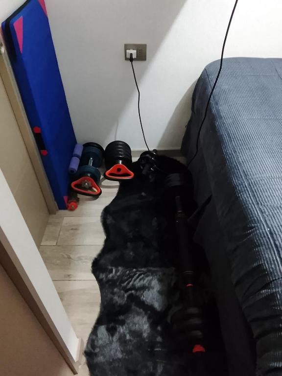 Alojamiento en Santiago de Chile - 3