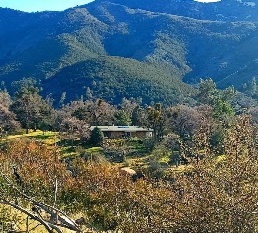 Secluded Oasis with View, and hot tub on 50 acres, Bodfish