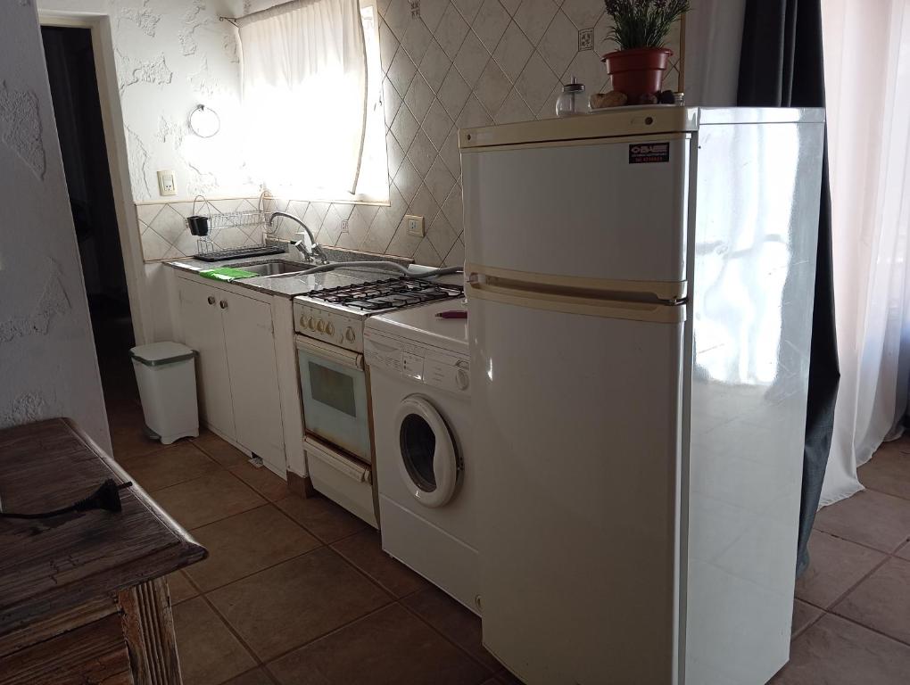 Cabañas Cerro Tolosa - 5