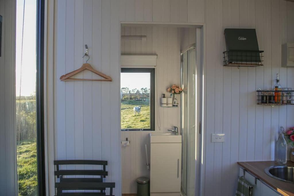 Taranaki Creekside KEA by Tiny Away