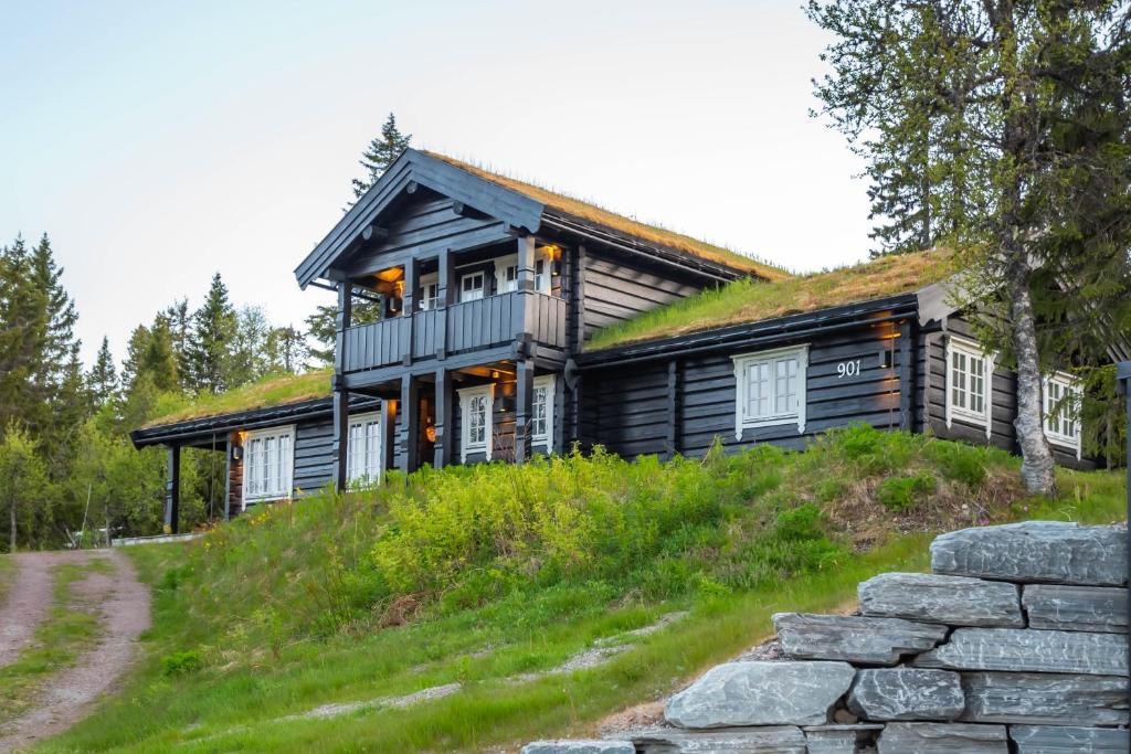 Trysilfjellet Nord 901, Trysil