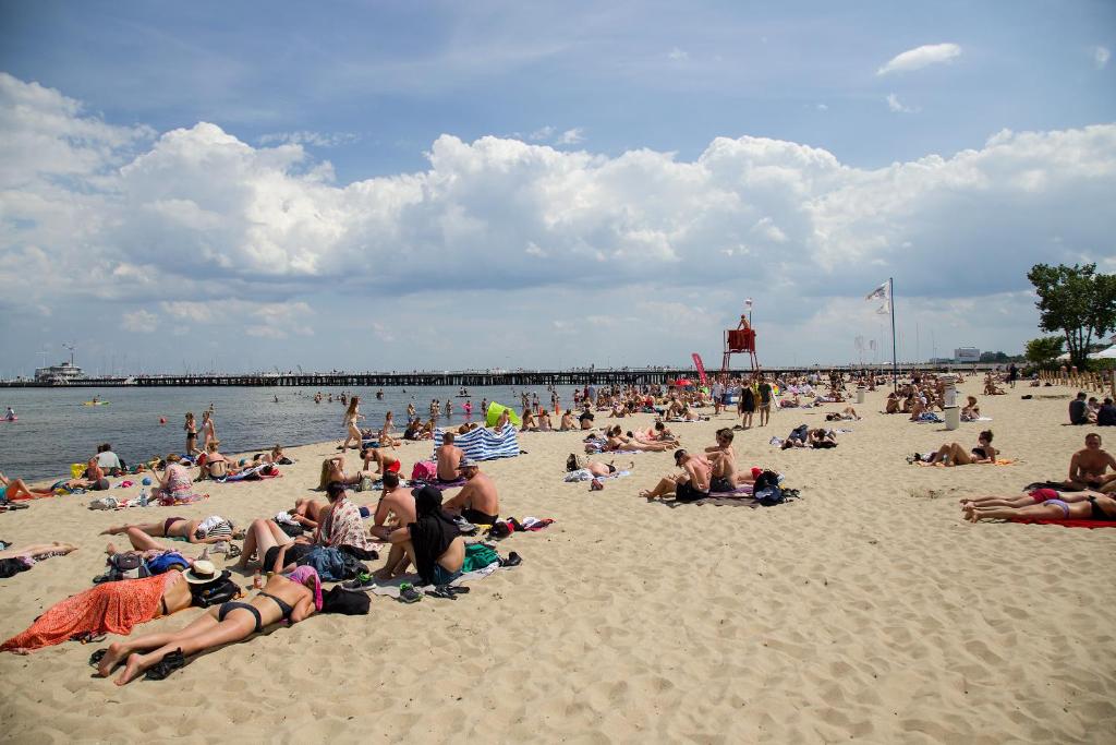 Sopot Point photo