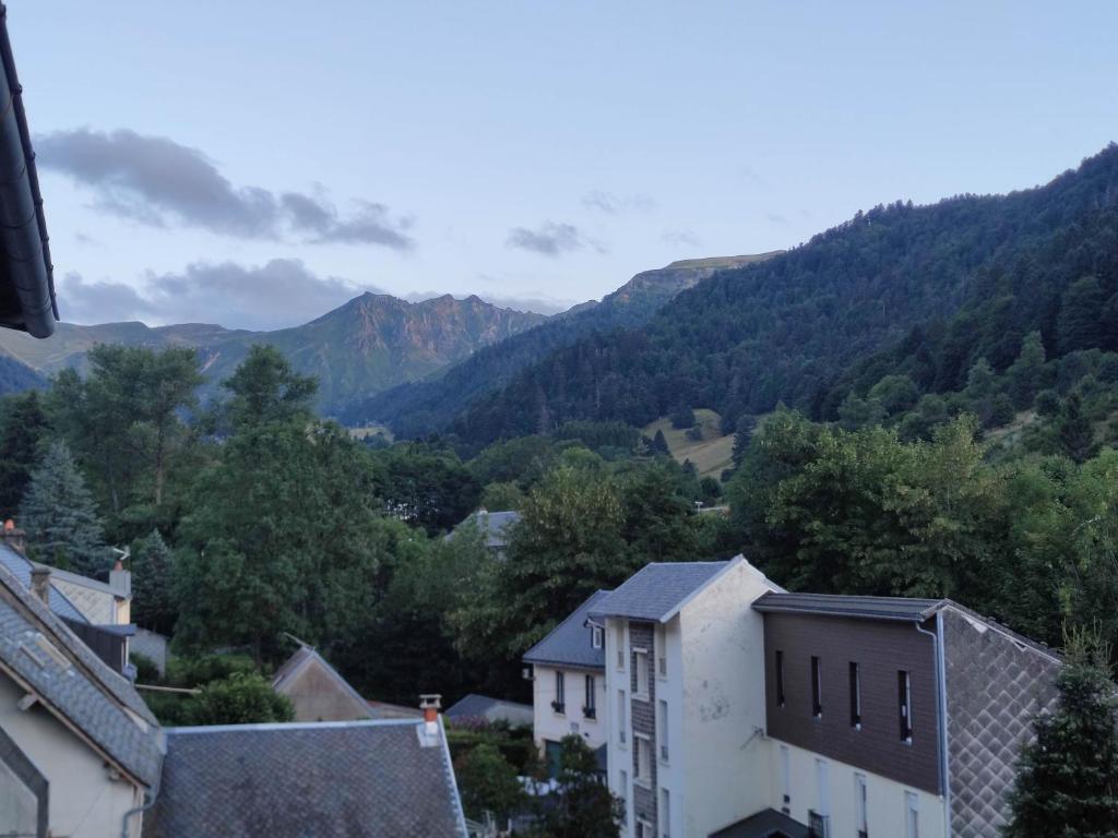 Appartement avec vue sur le Sancy, parking gratuit, Le Mont-Dore