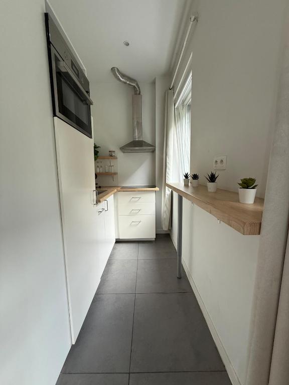 Green botanical studio 3, Lutych