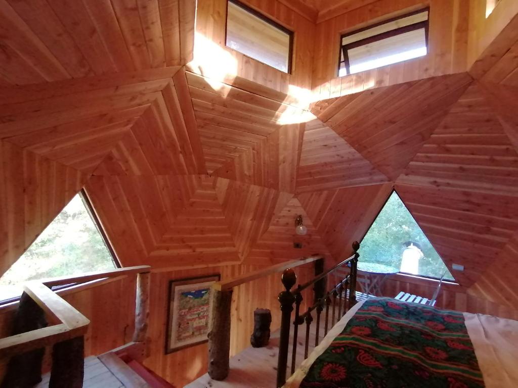 Domo Conguillío - 4