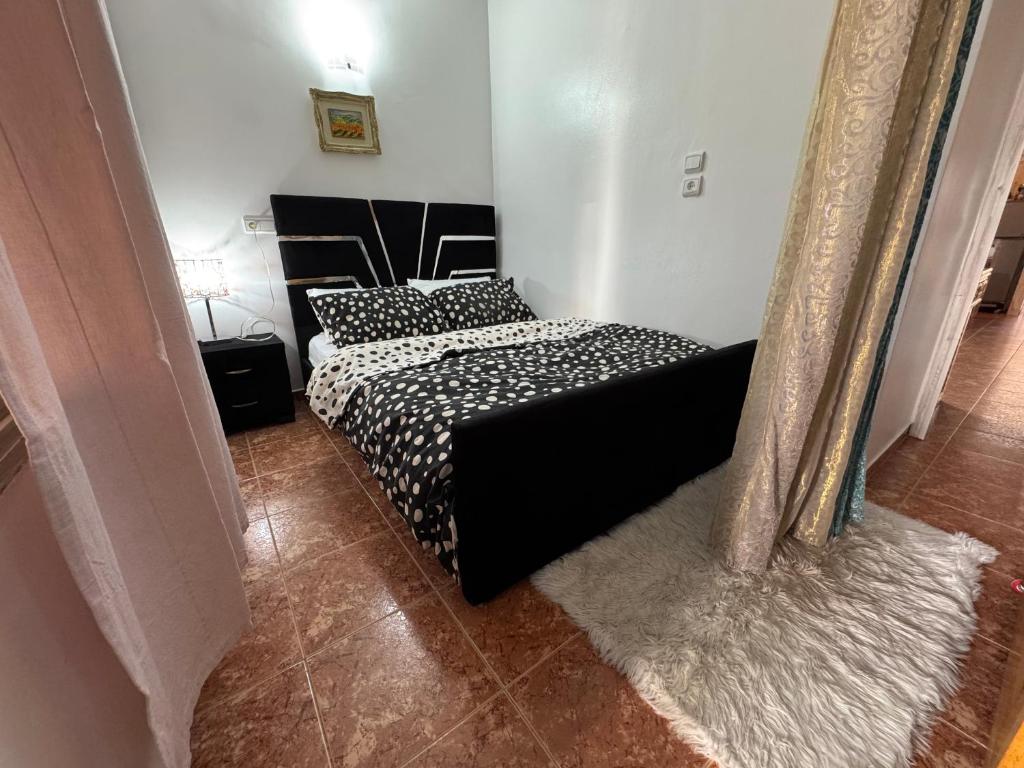 Studio benta, Tanger