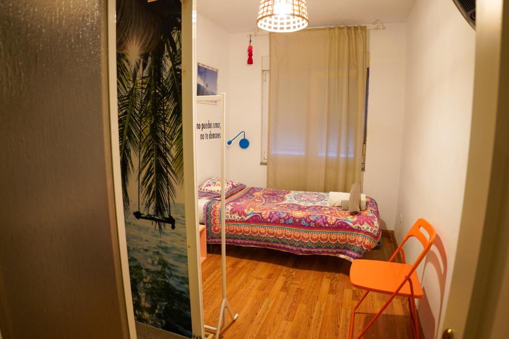 Cactus by Arenas, Salinas