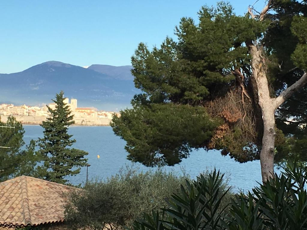 Cap Antibes Les Bosquets 전경