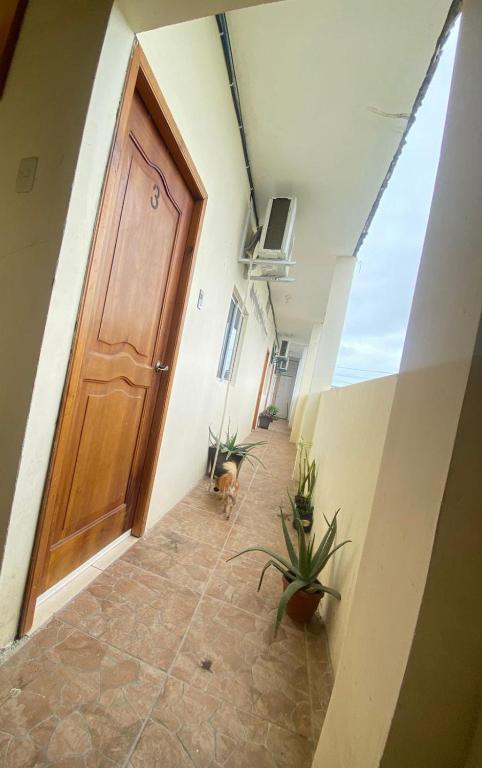 Habitaciones Guadalupe - 4