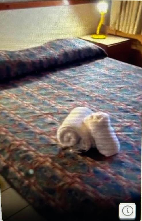 Geminis Las Leñas - 5