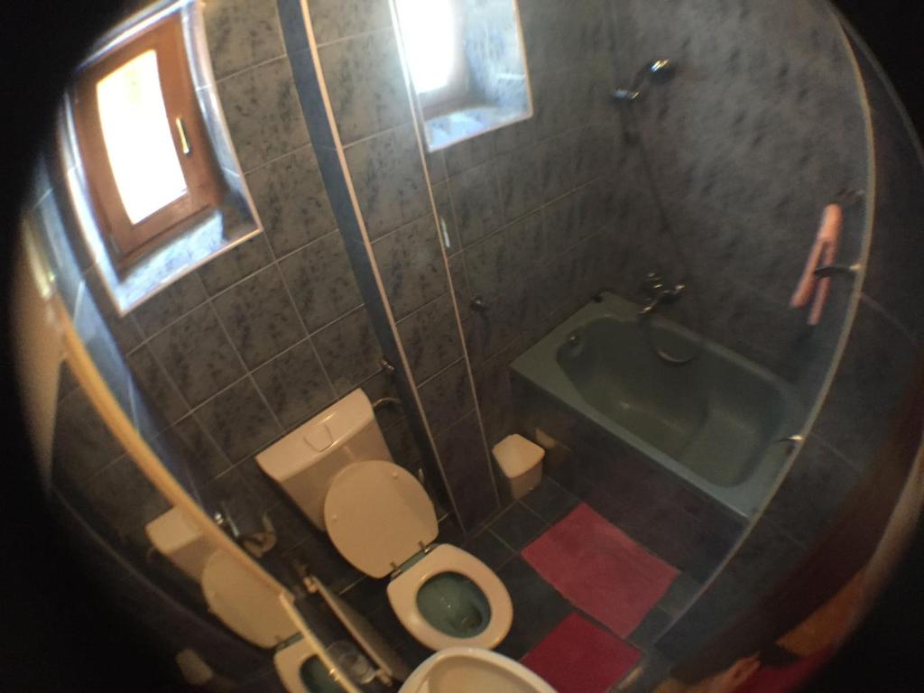Guest House Pikapolonca photo