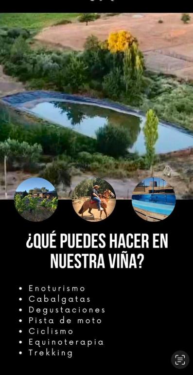 Red Blood Vineyard - 1