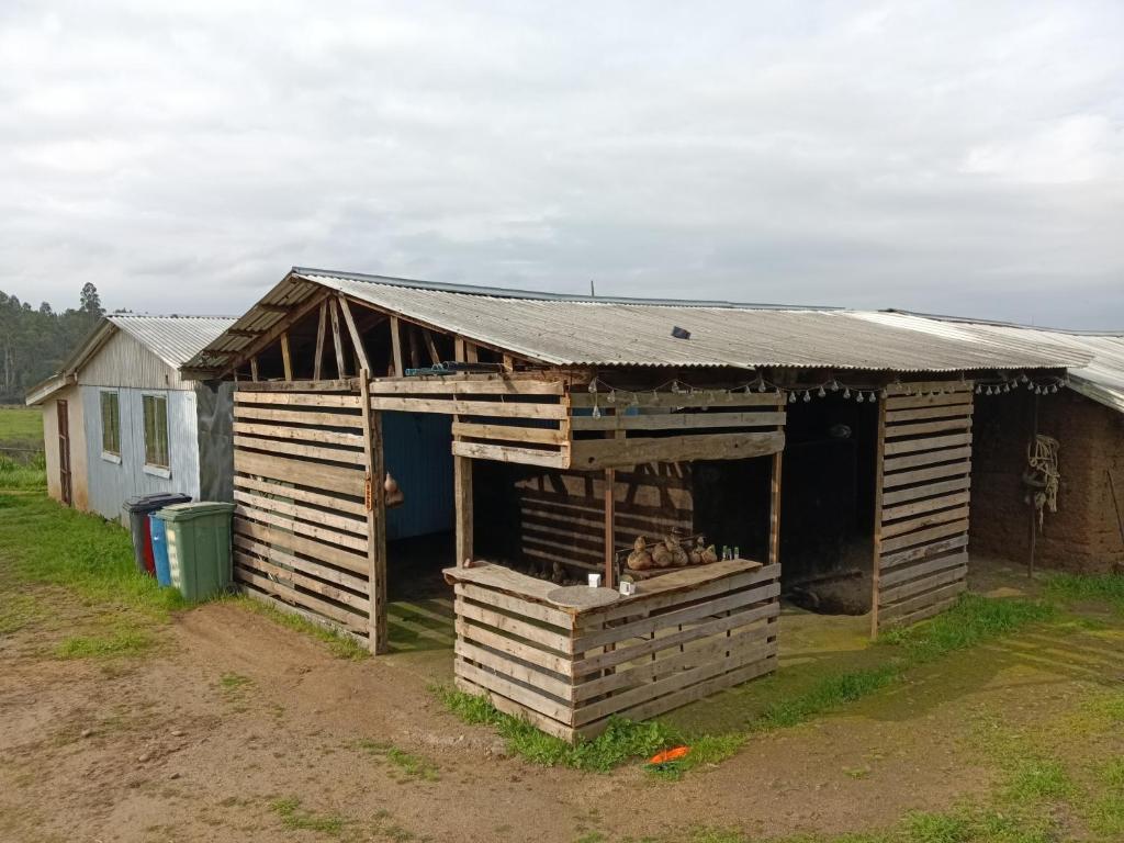 Red Blood Vineyard - 3