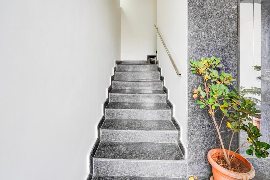 フロント・ロビー