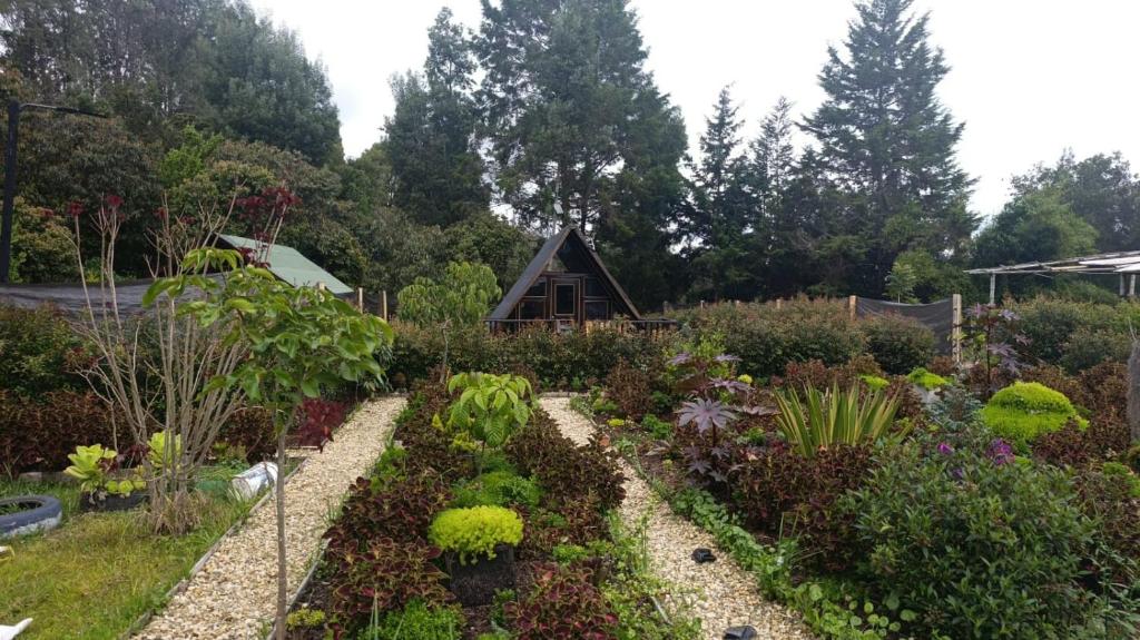 Alojamiento Rionegro aeropuerto - 4