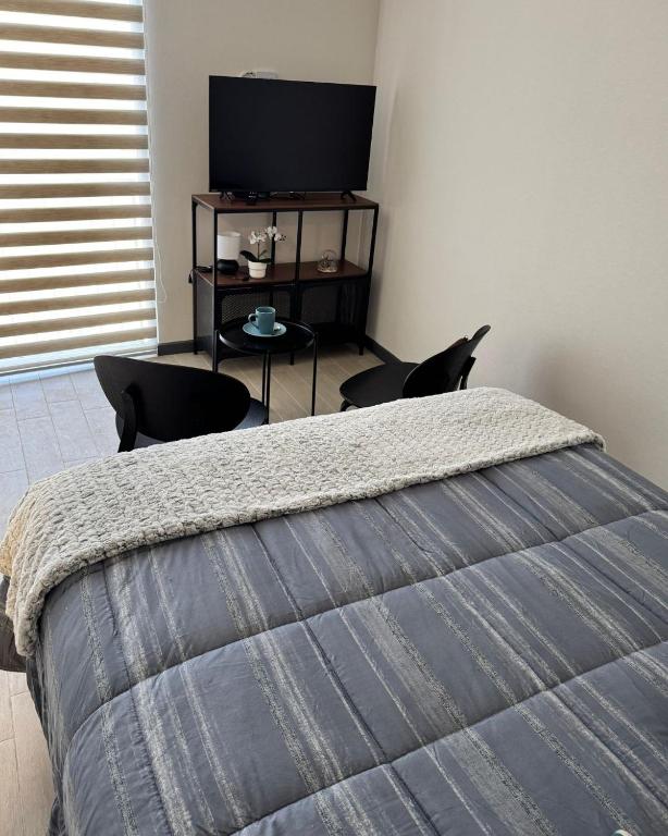 Céntrico departamento en Santiago - 2