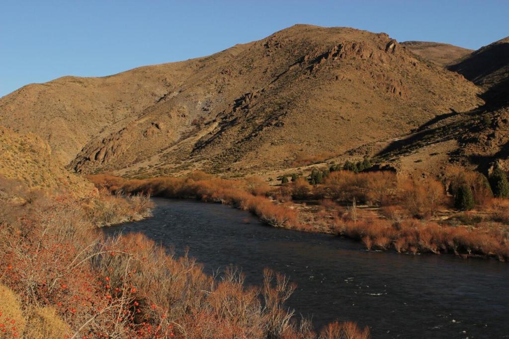 Casa de campo en Pilolil Sobre el Río alumine - 5