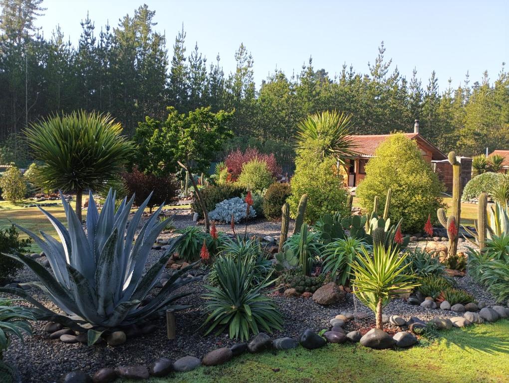 Eco Cabañas Algarrobo - 1