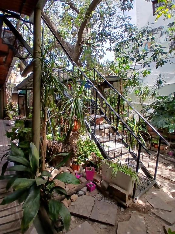 La Casa de La Linda - 4