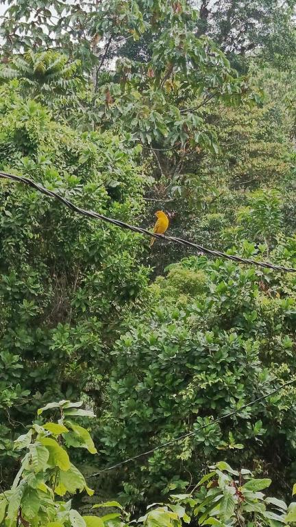 Beautiful country house - 2