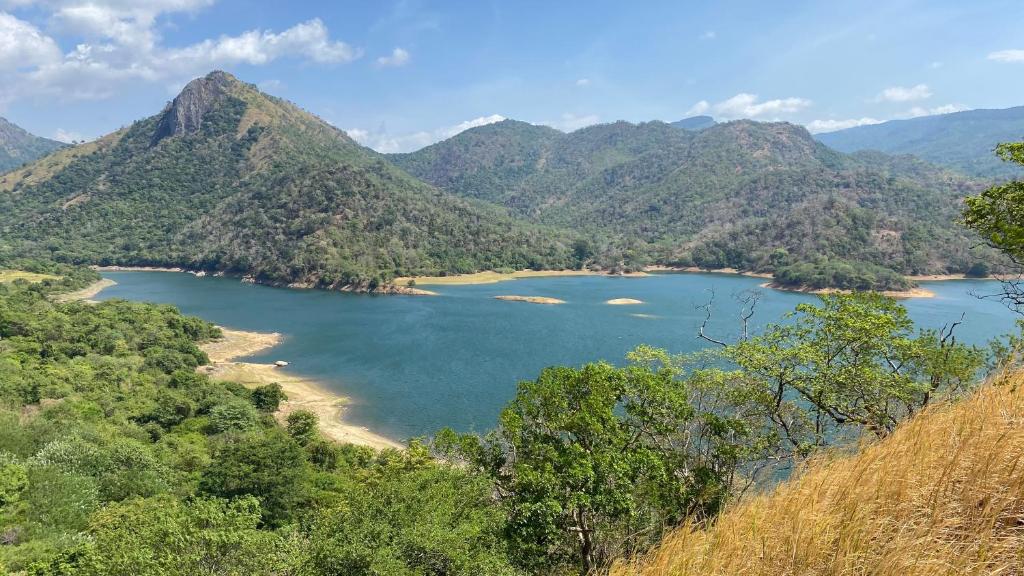 Loggal Oya Residencies, Gonagala