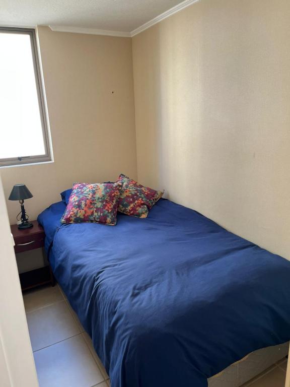 Villa Alemana Divertido - 2