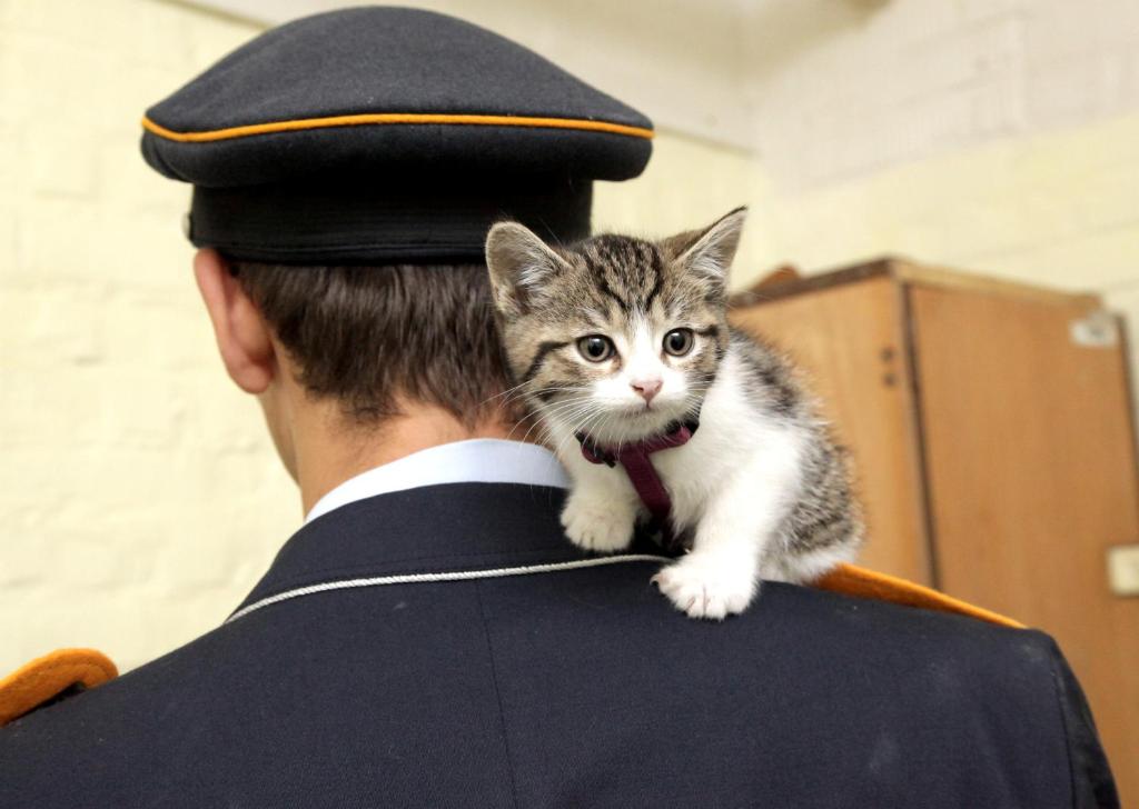 บริการและสิ่งอำนวยความสะดวก