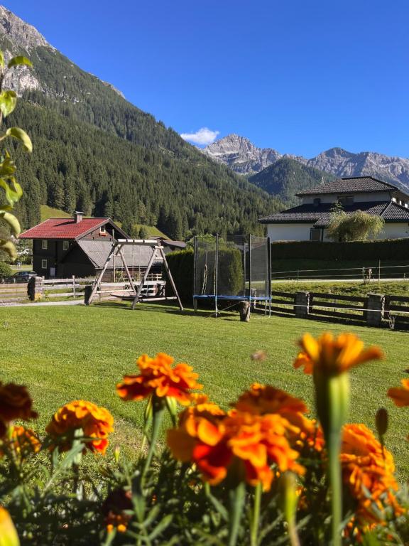 Zirbis Bergzauber - 2