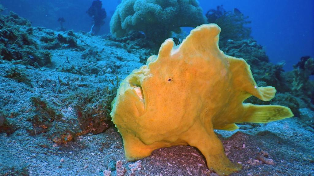 Sports and activities