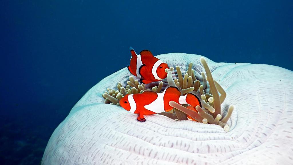 Sports and activities