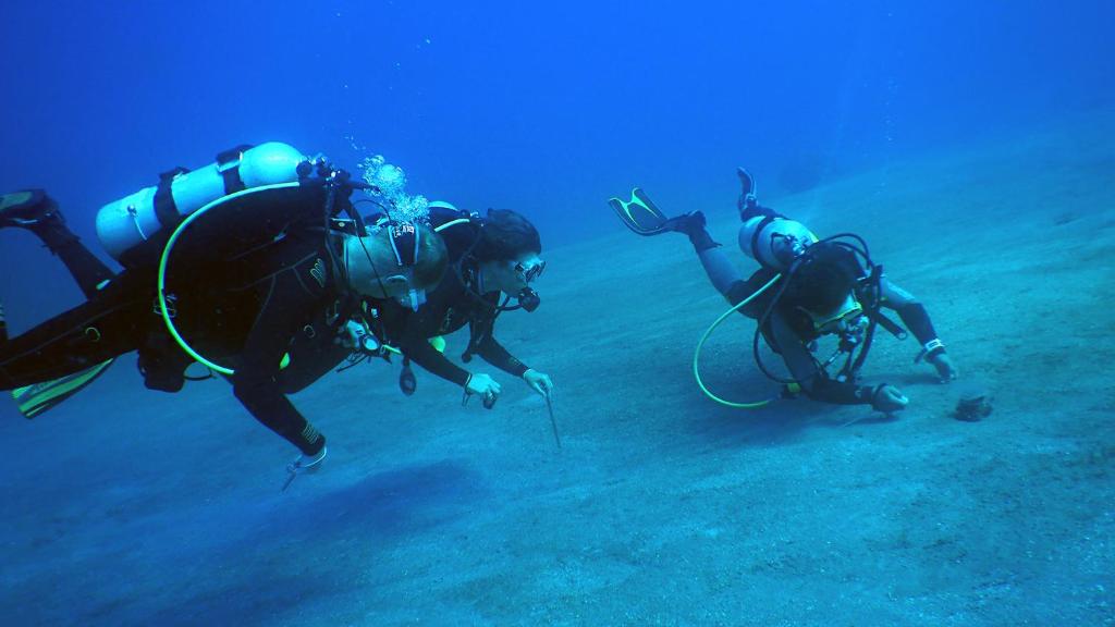 Sports and activities