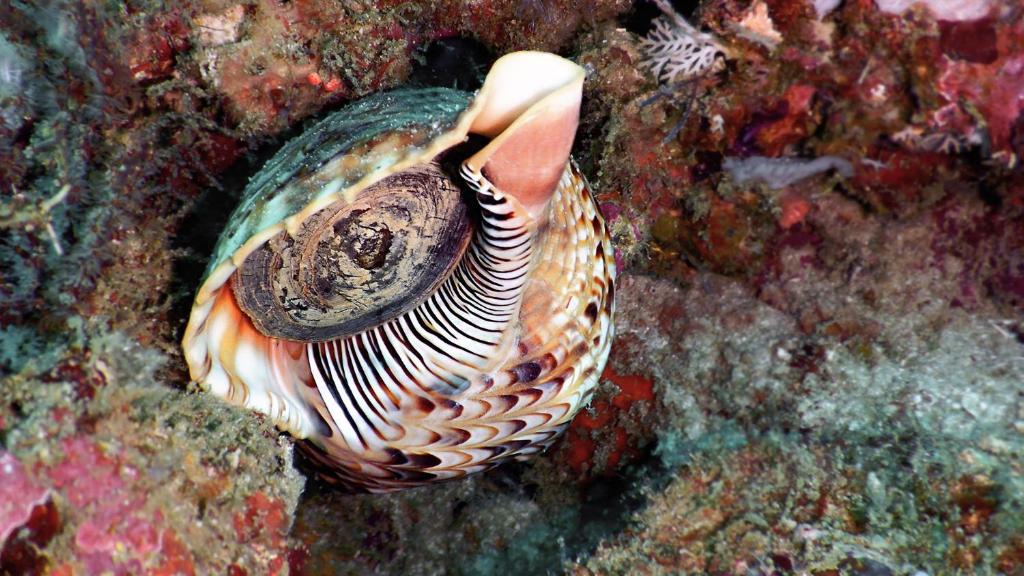 Sports and activities