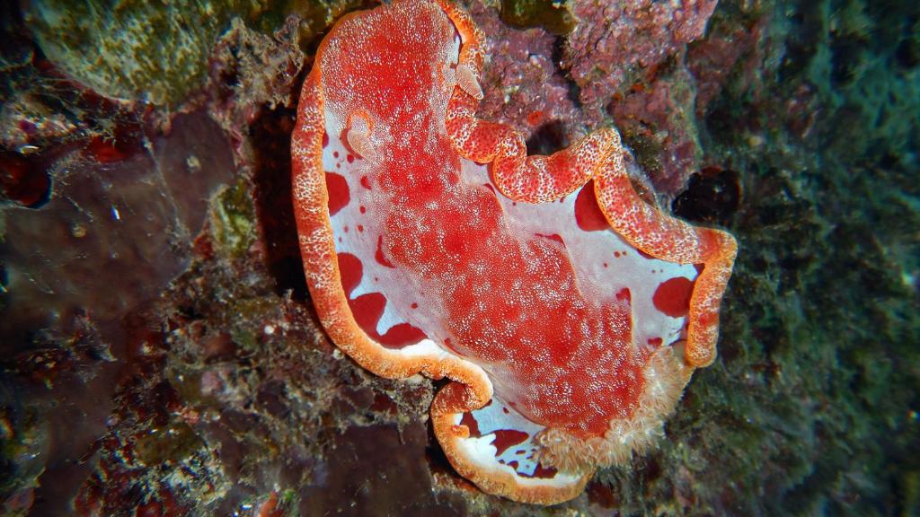 Sports and activities