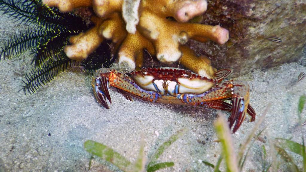 Sports and activities