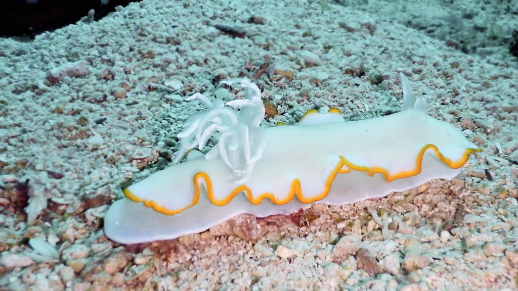 Sports and activities